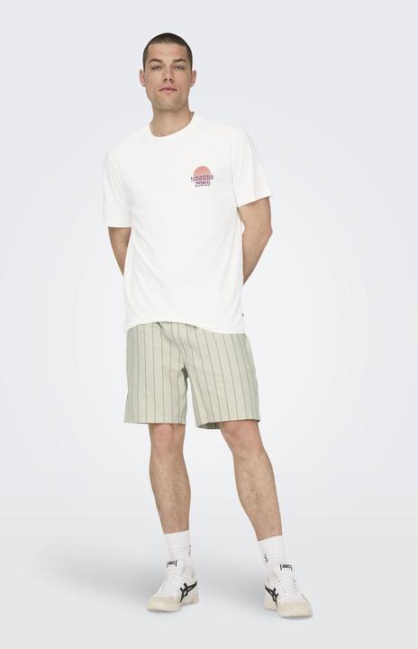 Image du produit Only & Sons Onskye Reg Photo Ss Tee (S)