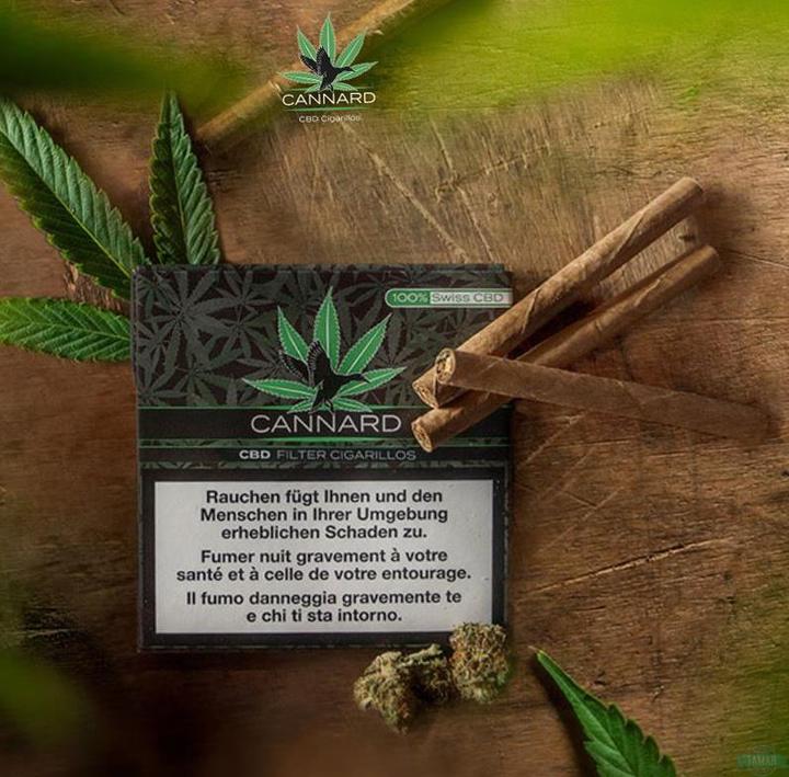 Produktbild Villiger CBD Filter Cigarillos