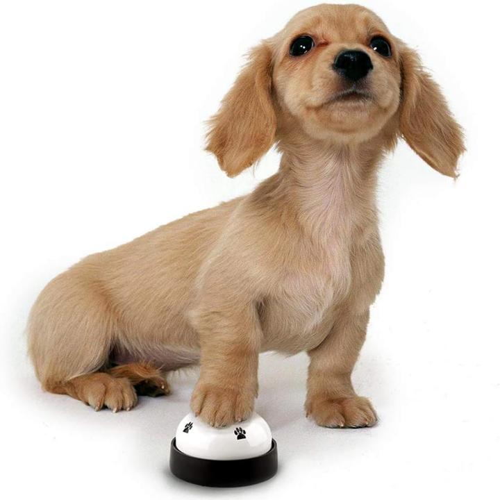 Actual product image Suba Pet Training Bells (Upbringing)
