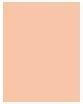 Actual product image Shiseido Total Radiance Foundation (N2 Neutral)