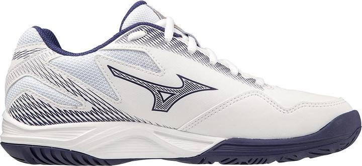 Actual product image Mizuno Stealth Star Junior (40.5)