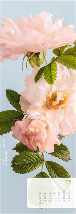 Produktbild Magic Flowers Vertical Kalender 2026 (24,5 x 69 cm, Harter Einband, Deutsch)