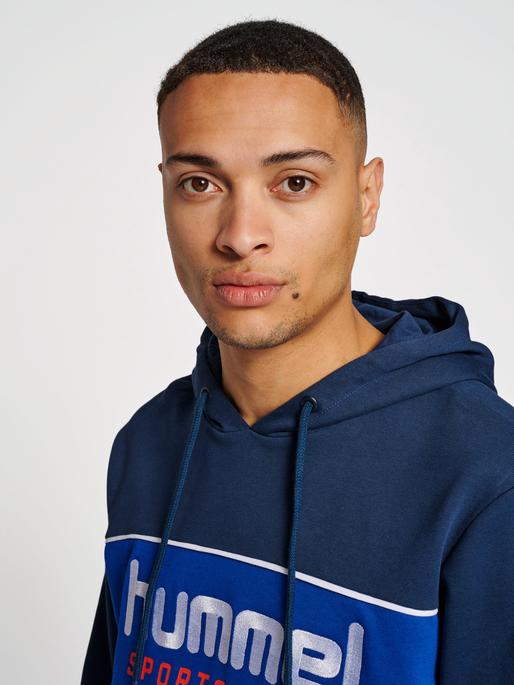 Image du produit hummel Lgc Julian Hoodie (XL)