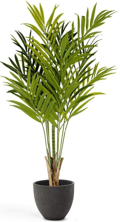 Kave Home Palmera (180 cm)