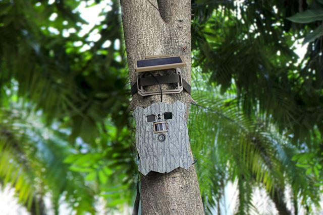 Produktbild Stealth Gear Owl Solar 4K Wifi Wildcamera