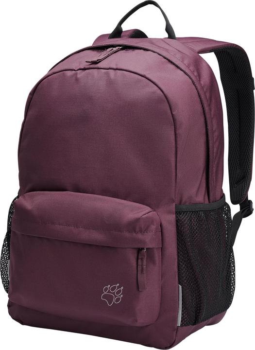Actual product image Jack Wolfskin Back To School 25