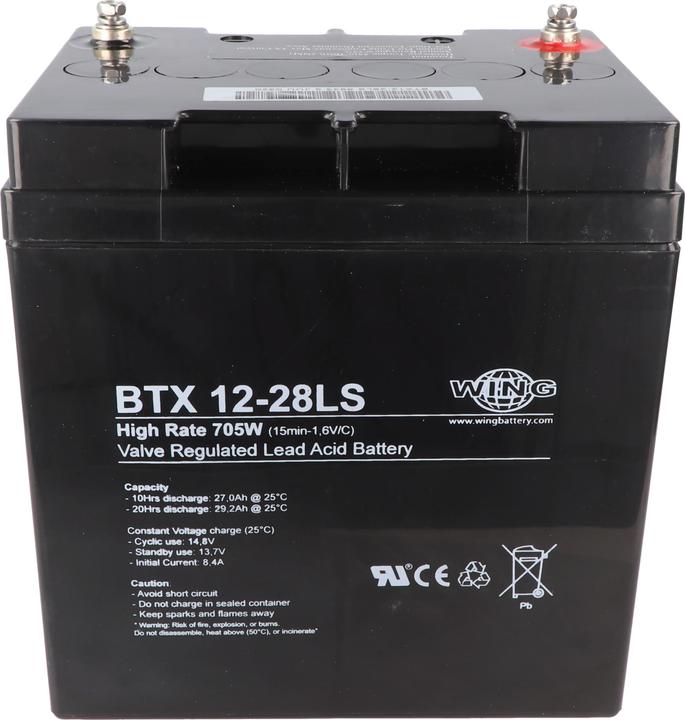 Actual product image AccuCell Wing BTX12-28LS 12V 28Ah high rate hochstromfähig Bleiakku AGM Blei Gel Akku (12 V, 28 Ah)