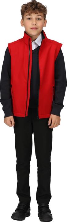 Actual product image Regatta Childrens/Kids Ablaze Softshell Reflective Gilet (116)
