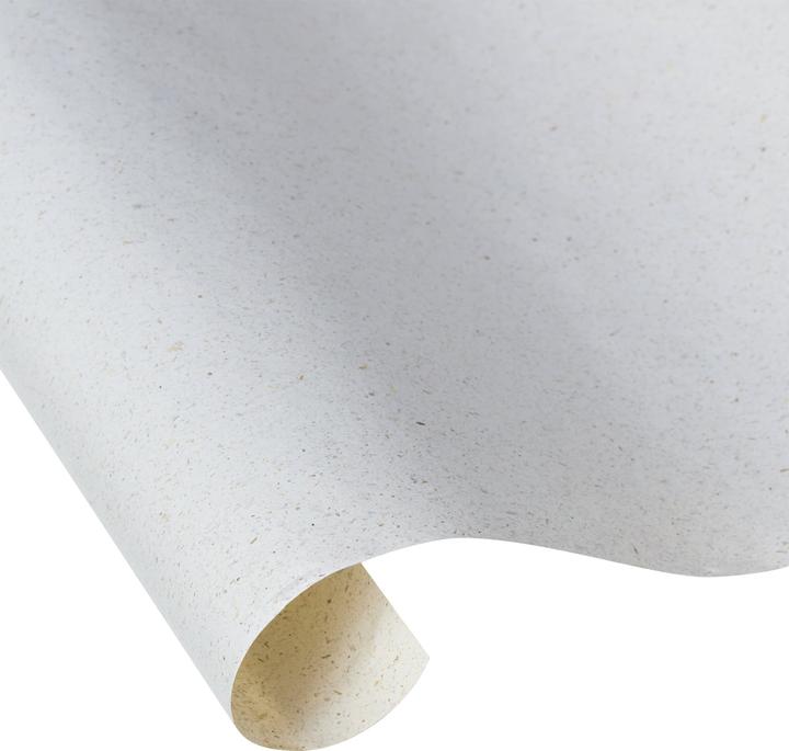 Produktbild micasa Natur (Geschenkpapier)