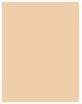Actual product image MAC Cosmetics Studio Fix Powder Plus Foundation (C3 Beige with Neutral)