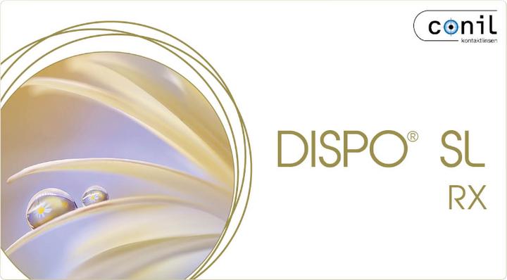 Dispo Sl Rx (6 Stück, Monatslinse, Sphärisch)