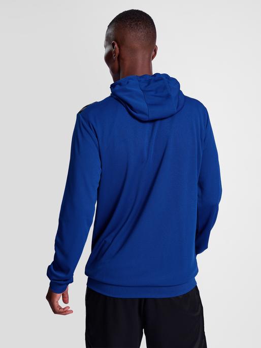 Actual product image hummel Hmlauthentic Pl Hoodie (L)