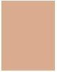 Produktbild Clinique Stay Matte (No. 02 Stay Netural)