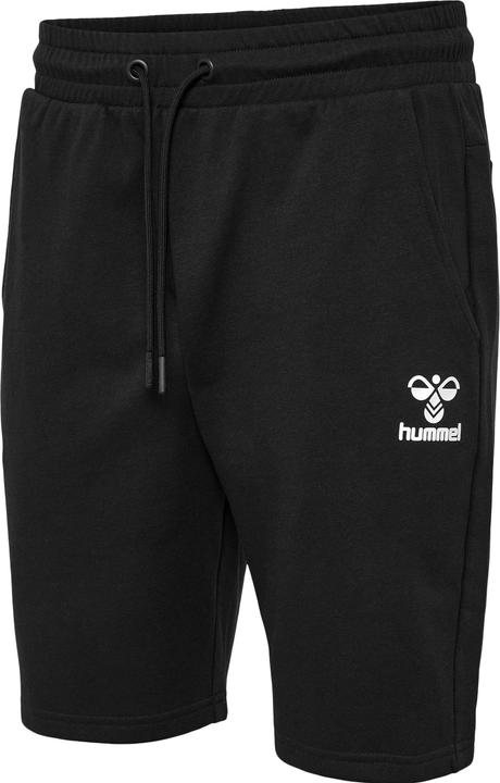 Actual product image hummel Hmlicons Regular Shorts (L)