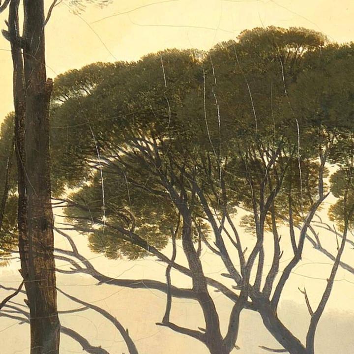 Produktbild Trenddeko Italienische Landschaft mit Schirmkiefern (35 x 30 cm)