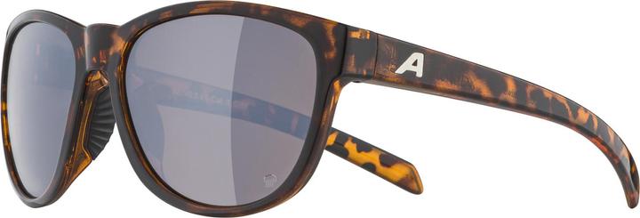 Produktbild ALPINA SPORTS Nacan II P