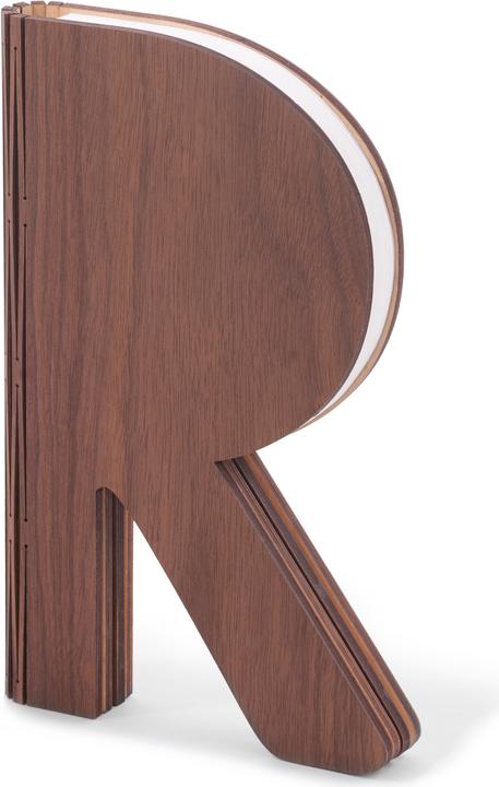 Actual product image Gingko The R Space Lamp