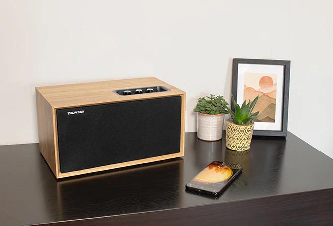 Actual product image Thomson WS502 - Compacte Multimedia Speaker - Hout (Electrical connection)