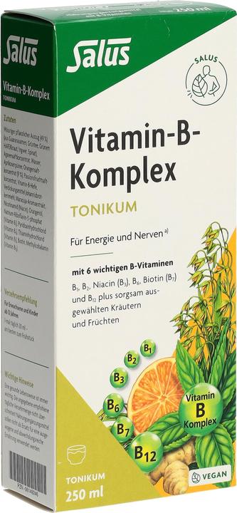 Salus Vitamin-B-Komplex (1 Stück, Flüssigkeit, 601 g)