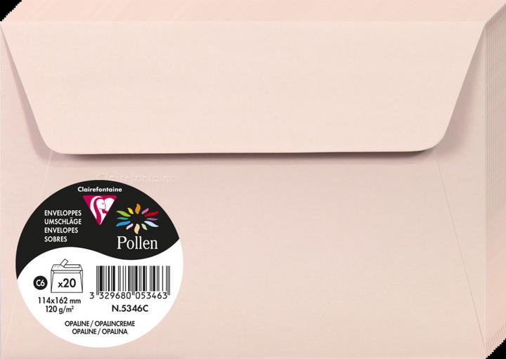 Actual product image Pollen Envelopes (C6, 20 x)