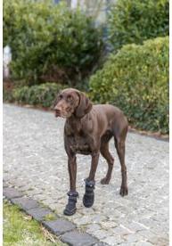 Produktbild Trixie Walker Active Long protective boots, XL, 2 pcs., black (XL, Hundeschuhe)