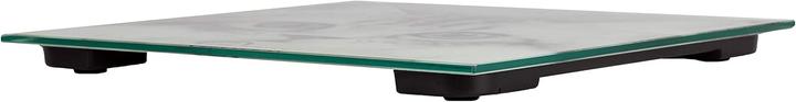 Immagine prodotto Little Balance The Cat (180 kg)