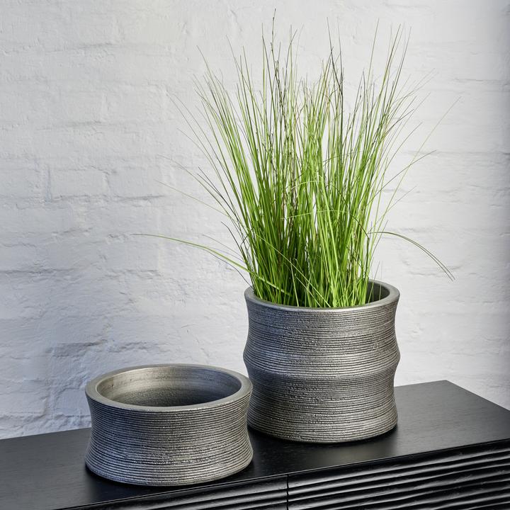 Produktbild Lambert Cobano (11 cm)
