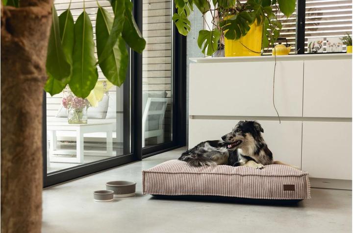 Actual product image Designed by Lotte Ribbed (Dog)