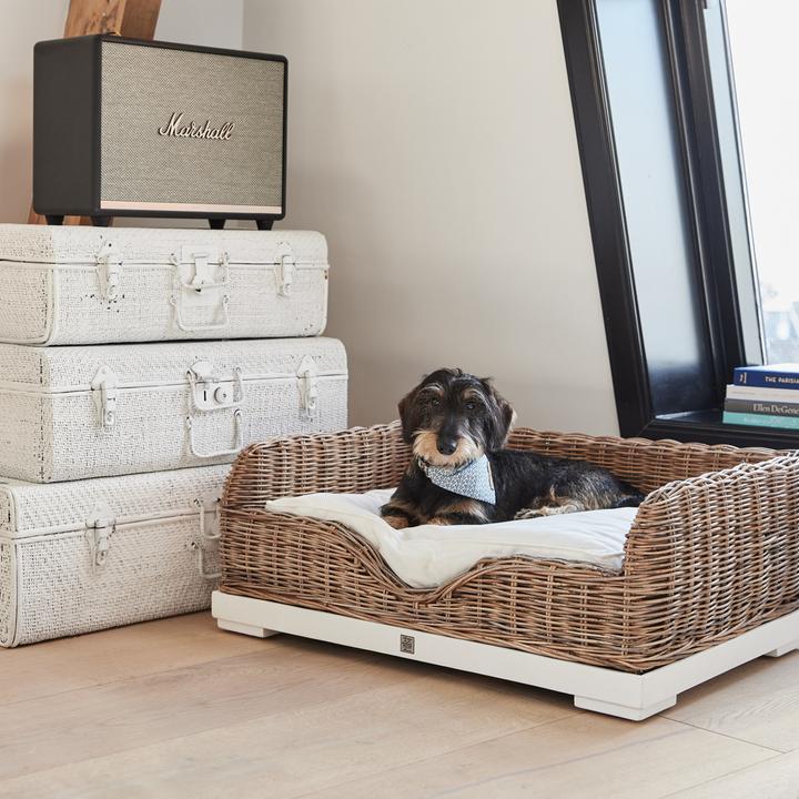 Image du produit Rivièra Maison RR Classic (Chien)