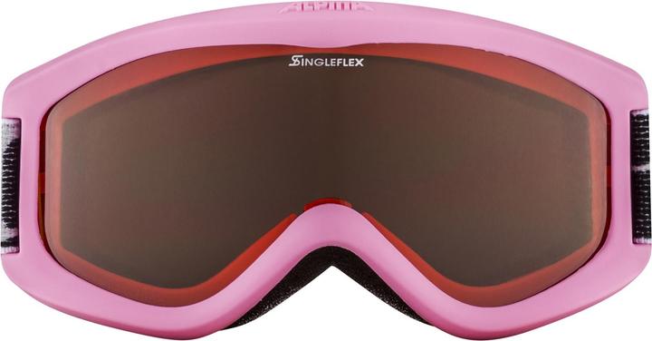 Actual product image ALPINA SPORTS Carvy 2.0