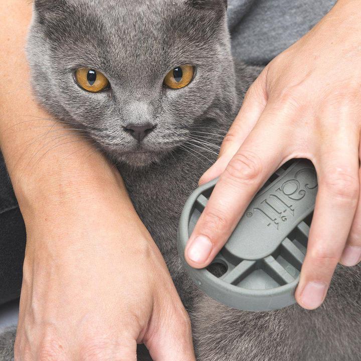 Actual product image Catit Brush Set for Shorthaired Cats (Cat)