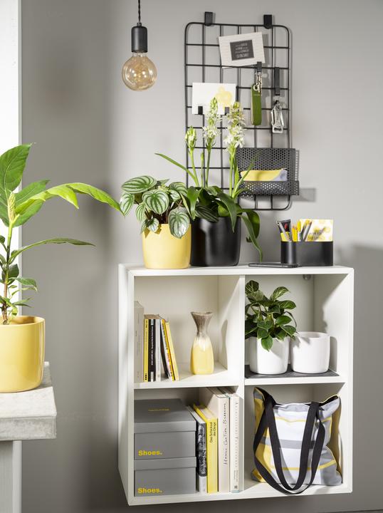 Produktbild Scheurich Solido (18 cm)