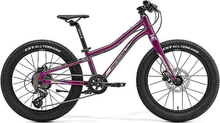 Image du produit Merida Matts Junior 20 Plus (20")
