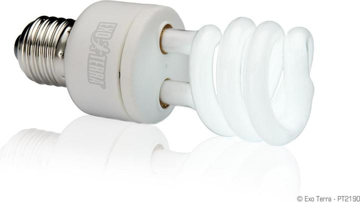 Produktbild Exo Terra Repti Glo (UVA)