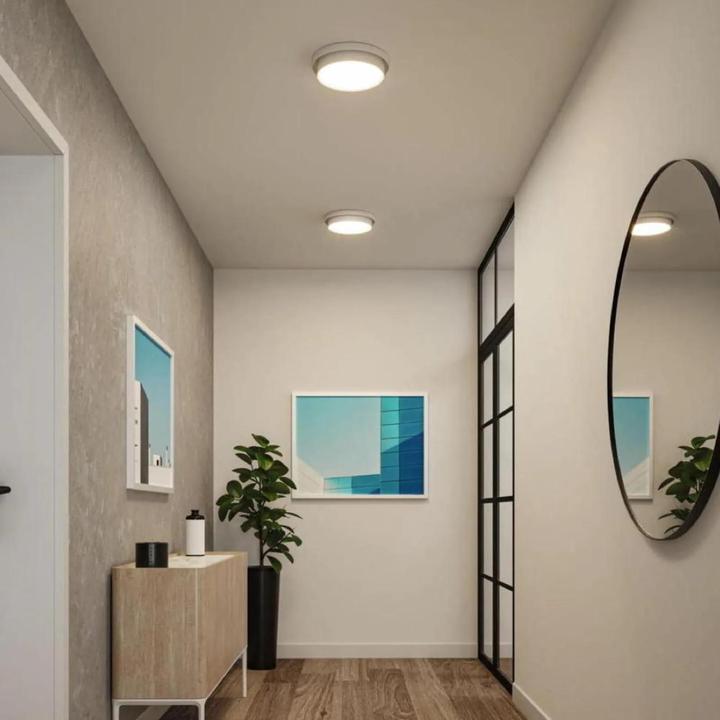 Actual product image Paulmann Malik ceiling light (1320 lm)