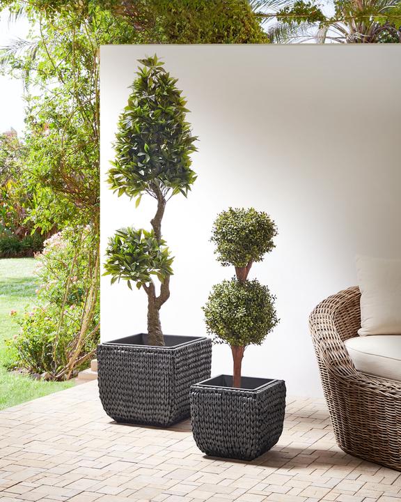 Actual product image Beliani Berberis (45 cm)