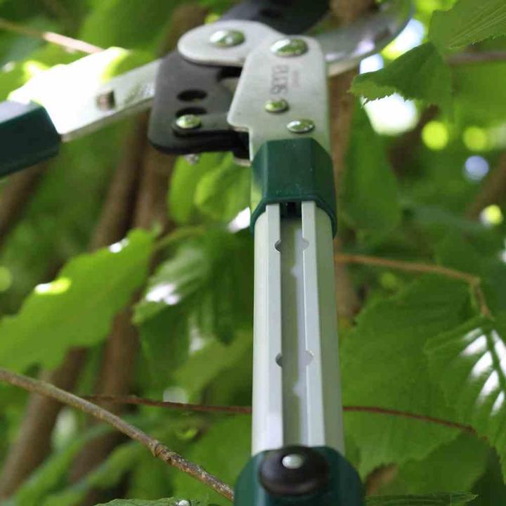 Produktbild Siena Garden Astschere Bybass Teleskop