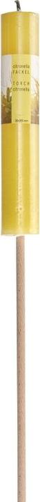 Balthasar Citronella torch