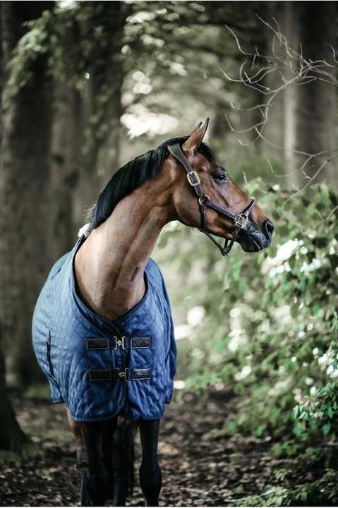 Produktbild Kentucky Horsewear Stalldecke 0g (130 cm)