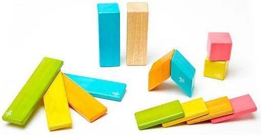 Actual product image Tegu Magnetic