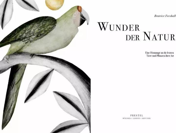Image du produit Wunder der Natur (Allemand, Beatrice Forshall, 2023)