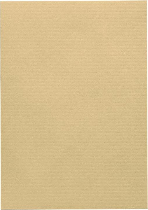 Produktbild Artoz 1001 A4 220g baileys 5 Kartons (220 g/m², 5 x)