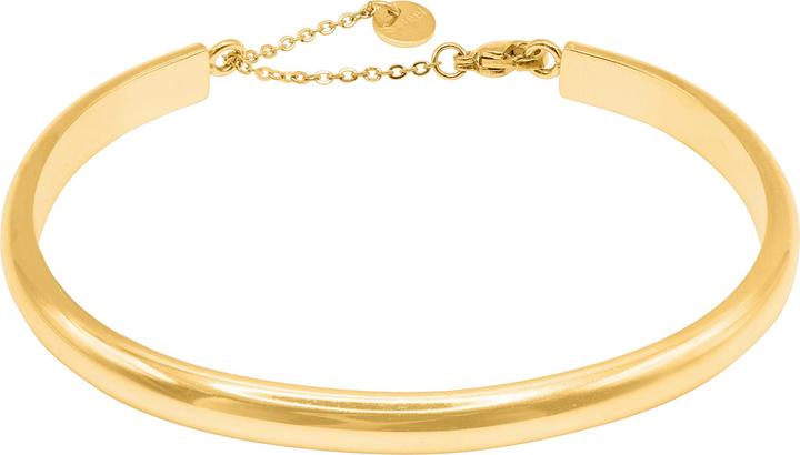 Immagine prodotto Heideman Calvus color oro (100% acciaio inossidabile)