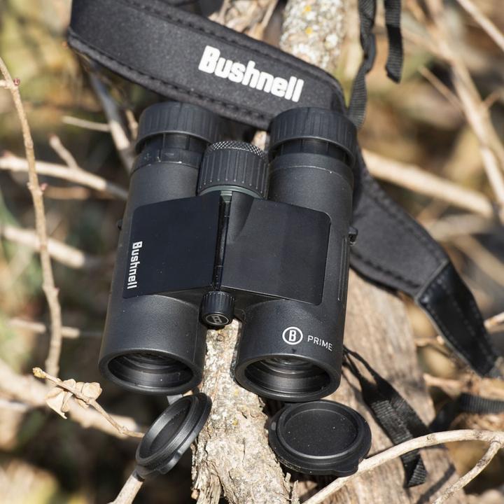 Produktbild Bushnell Fernglas 8X42 Prime black Roof Prism MC (8 x, 42 mm)
