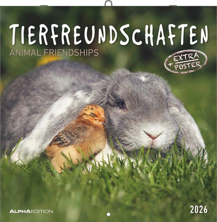 Actual product image Tierfreundschaften2026-Broschürenkalender30x30cm(30x60geöffnet)-Kalende (Dutch, English)