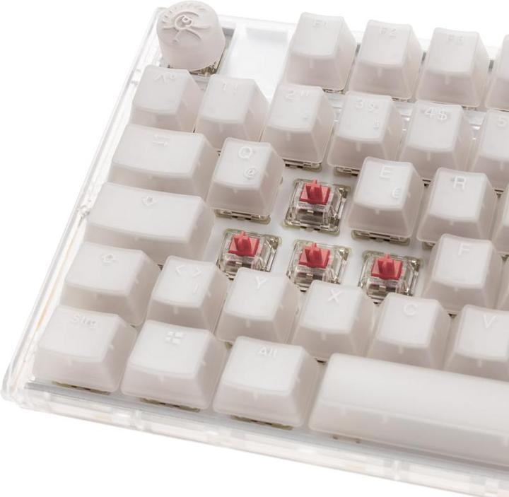 Produktbild Ducky One 3 (DE, Kabelgebunden)