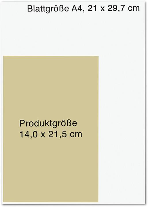 Produktbild Im Reich der Bären (Deutsch, Moritz Klose, 2025)