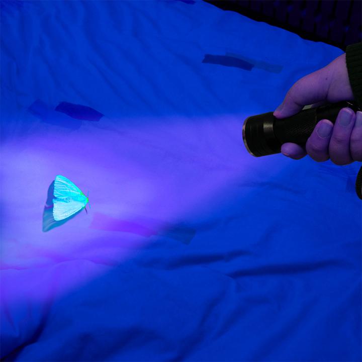 Produktbild Casativo 2in1 UV-Taschenlampe und Geldschein-/Ausweisprüfer, 21 LEDs, Batteriebetrieb (9.70 cm)