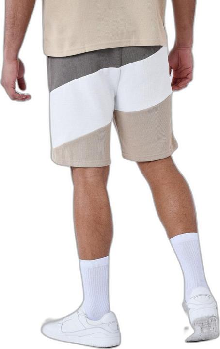 Actual product image Project X Paris tricolor shorts (XL)