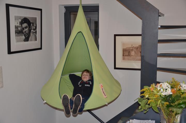 Immagine prodotto Cacoon Bonsai (200 kg)
